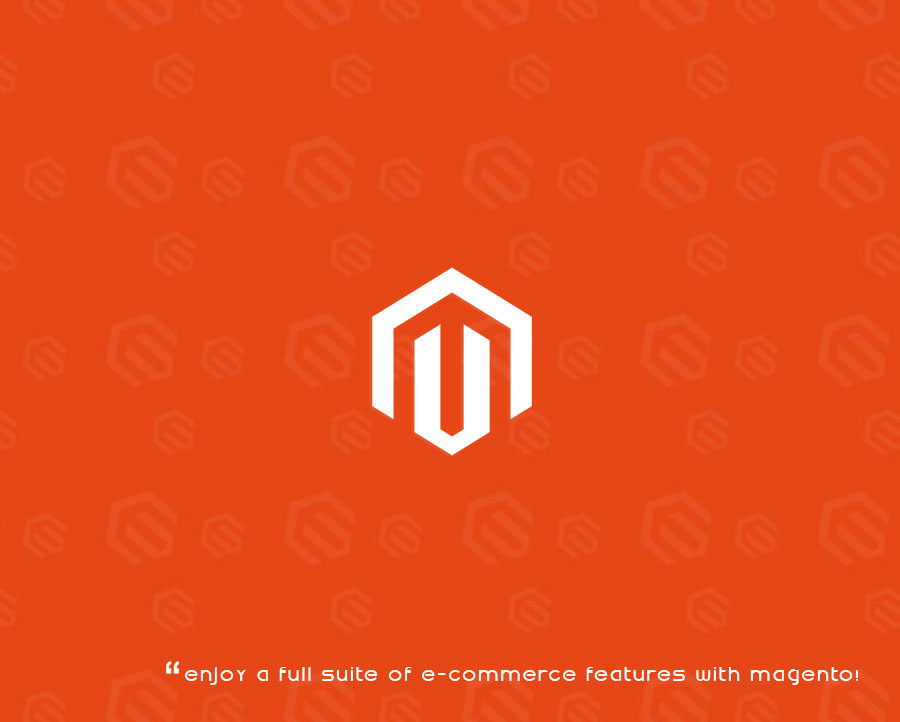 Magento Developers