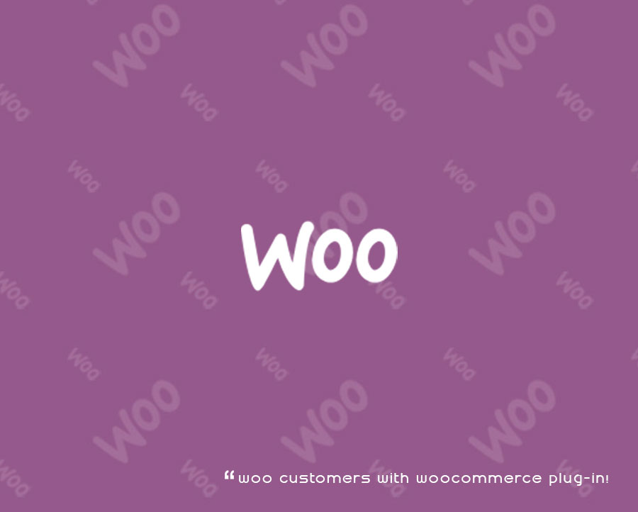 Woocommerce Developers