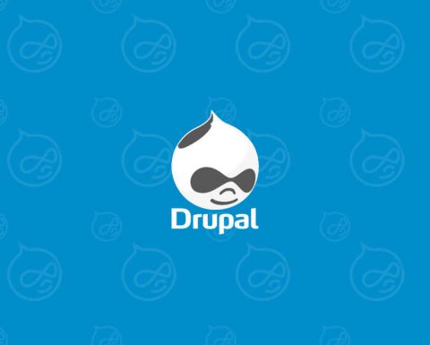 Drupal Developers