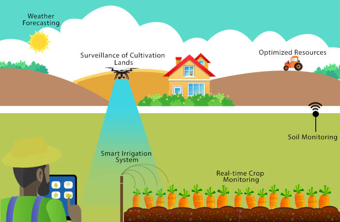 How IoT is reshaping the future of farming?