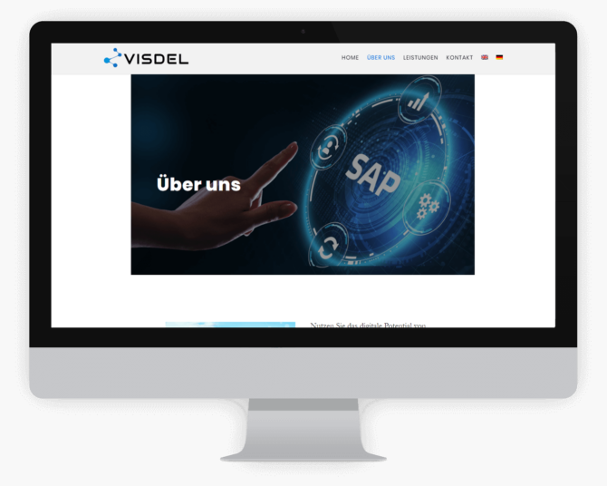 Visdel - SAP - Screenshot